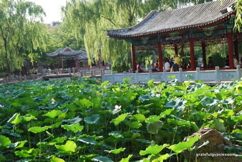 北京哪個公園好玩多，不妨看看這位作家的獨特看法